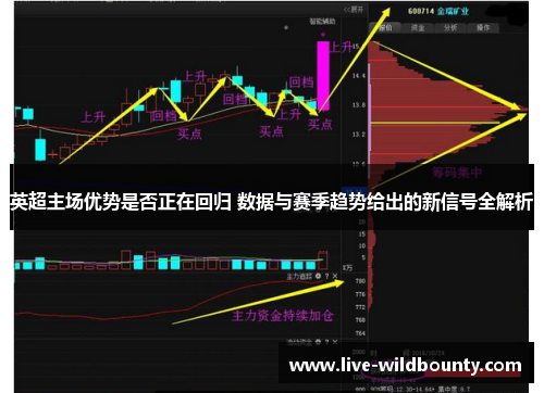 英超主场优势是否正在回归 数据与赛季趋势给出的新信号全解析 英超主场优势是否正在回归 数据与赛季趋势给出的新信号全解析
