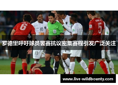 罗德里呼吁球员罢赛抗议密集赛程引发广泛关注
