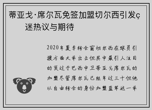 蒂亚戈·席尔瓦免签加盟切尔西引发球迷热议与期待