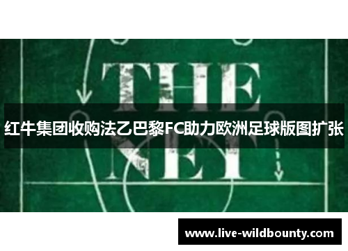 红牛集团收购法乙巴黎FC助力欧洲足球版图扩张 红牛集团收购法乙巴黎FC助力欧洲足球版图扩张
