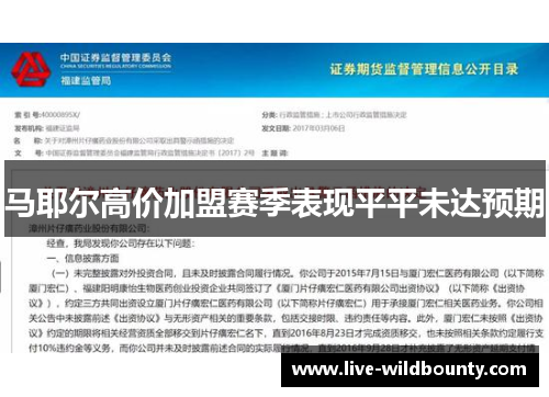 马耶尔高价加盟赛季表现平平未达预期 马耶尔高价加盟赛季表现平平未达预期